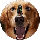 Kathleen Renzi profile picture